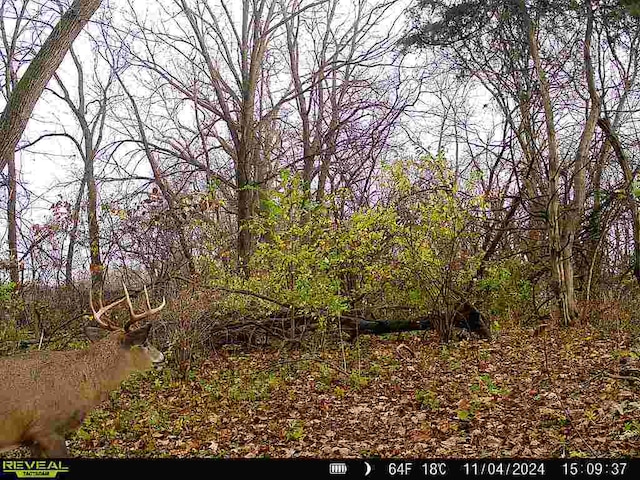10385 N Rock City Rd, German Valley, IL 61039 - photo 129