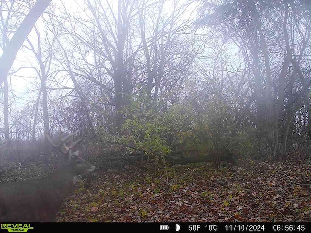 10385 N Rock City Rd, German Valley, IL 61039 - photo 130