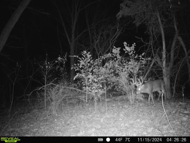 10385 N Rock City Rd, German Valley, IL 61039 - photo 131