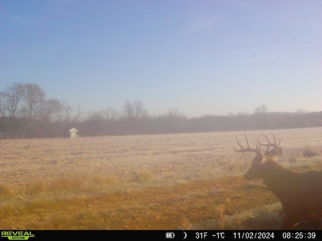 10385 N Rock City Rd, German Valley, IL 61039 - photo 132