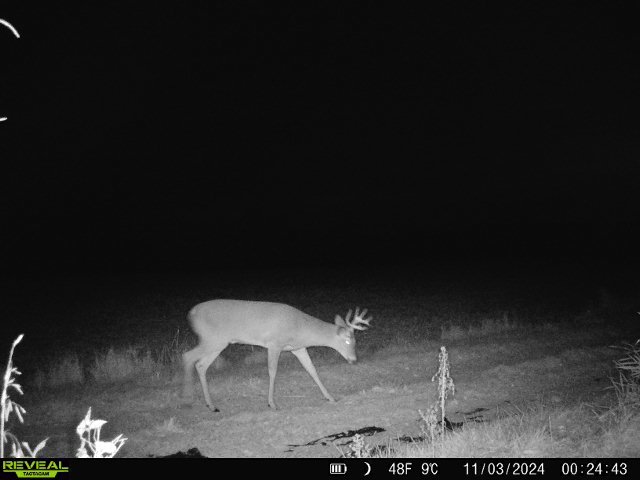 10385 N Rock City Rd, German Valley, IL 61039 - photo 133