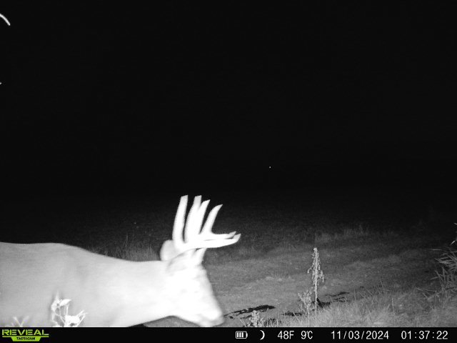 10385 N Rock City Rd, German Valley, IL 61039 - photo 134