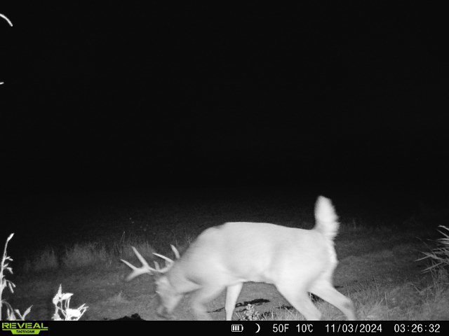 10385 N Rock City Rd, German Valley, IL 61039 - photo 135