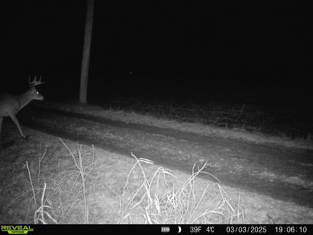 10385 N Rock City Rd, German Valley, IL 61039 - photo 136