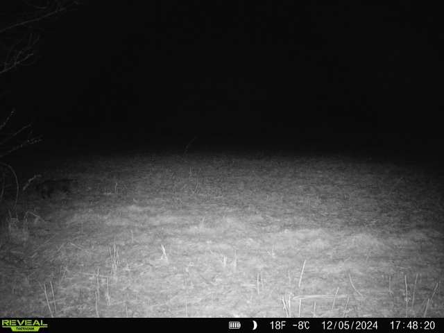 10385 N Rock City Rd, German Valley, IL 61039 - photo 139