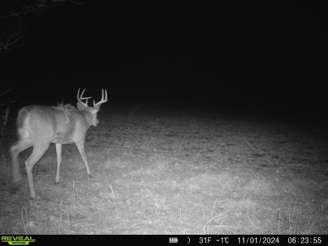 10385 N Rock City Rd, German Valley, IL 61039 - photo 141