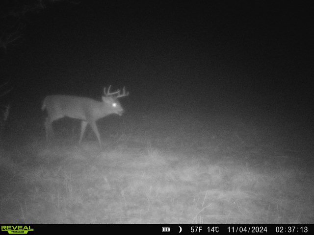 10385 N Rock City Rd, German Valley, IL 61039 - photo 142
