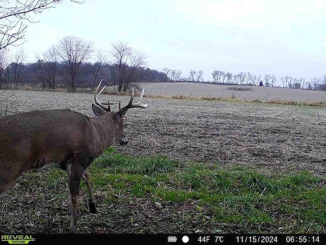 10385 N Rock City Rd, German Valley, IL 61039 - photo 144