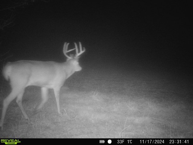 10385 N Rock City Rd, German Valley, IL 61039 - photo 145