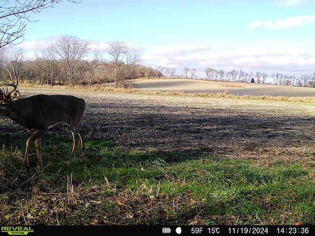 10385 N Rock City Rd, German Valley, IL 61039 - photo 146