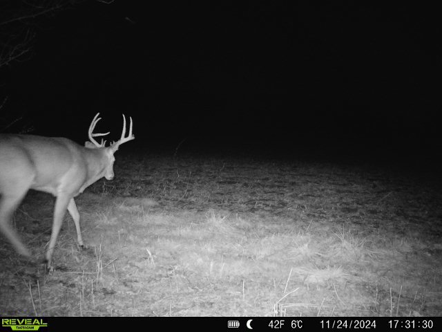 10385 N Rock City Rd, German Valley, IL 61039 - photo 147