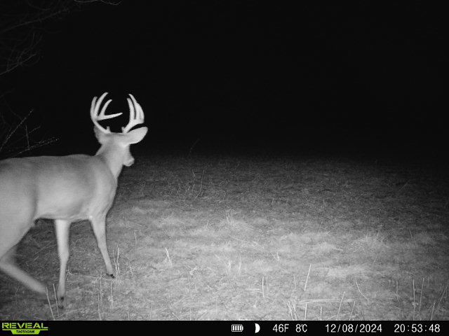 10385 N Rock City Rd, German Valley, IL 61039 - photo 148