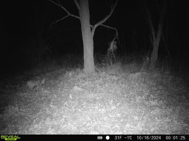 10385 N Rock City Rd, German Valley, IL 61039 - photo 149