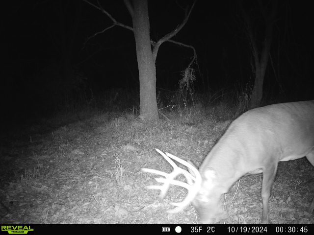 10385 N Rock City Rd, German Valley, IL 61039 - photo 150
