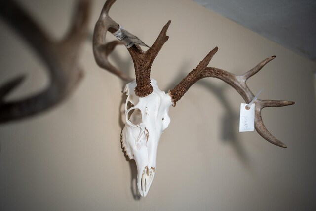 10385 N Rock City Rd, German Valley, IL 61039 - photo 34