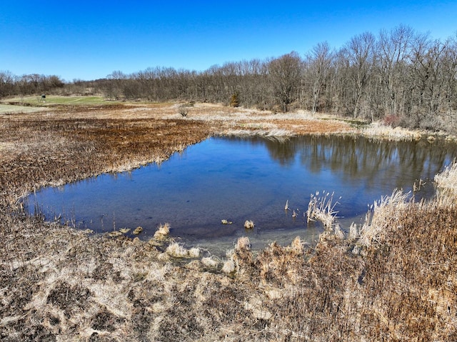 10385 N Rock City Rd, German Valley, IL 61039 - photo 51