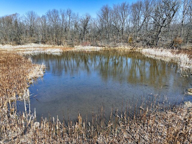 10385 N Rock City Rd, German Valley, IL 61039 - photo 52