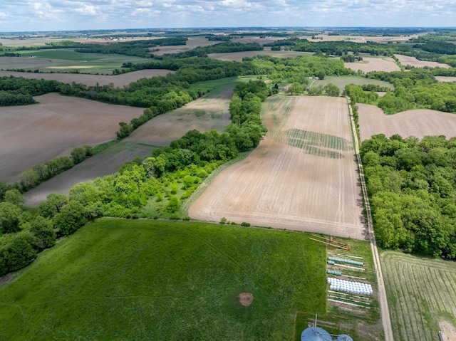 10385 N Rock City Rd, German Valley, IL 61039 - photo 53