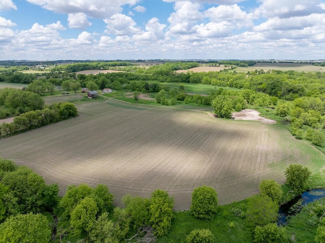 10385 N Rock City Rd, German Valley, IL 61039 - photo 81