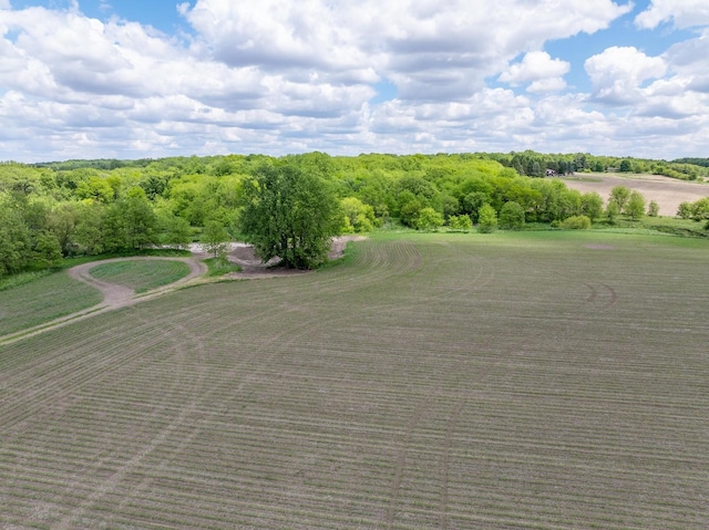 10385 N Rock City Rd, German Valley, IL 61039 - photo 85