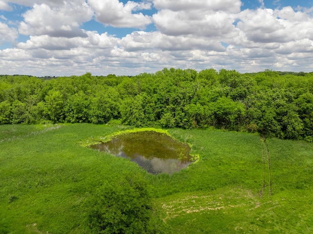 10385 N Rock City Rd, German Valley, IL 61039 - photo 86