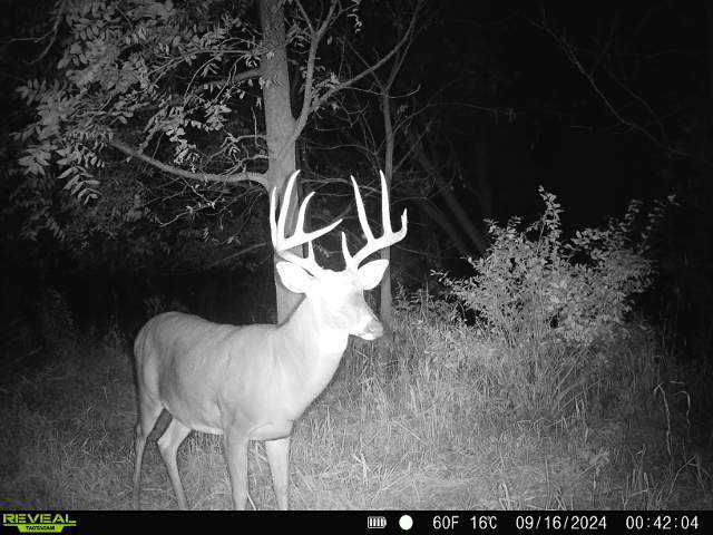 10385 N Rock City Rd, German Valley, IL 61039 - photo 100