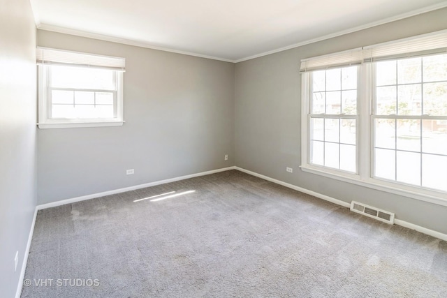 1437 S Busse Rd, Mount Prospect, IL 60056 - empty room featuring carpet flooring, crown molding, and baseboards