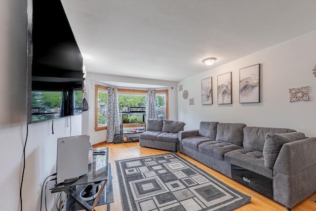 3801 W 65th Pl, Chicago, IL 60629 - living room featuring light wood-style flooring