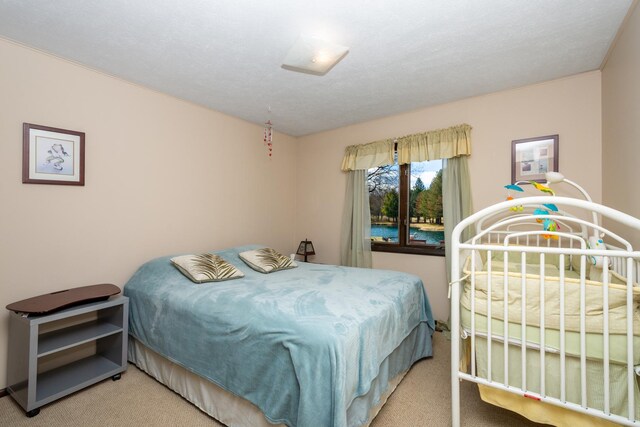 5814 Il Route 173, Richmond, IL 60071 - photo 36