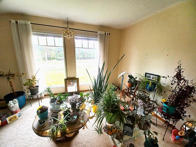 8206 Bull Valley Rd, Bull Valley, IL 60098 - photo 51