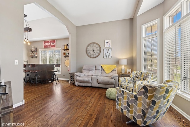 living room featuring baseboards, a healthy amount of sunlight, wood finished floors, and a bar