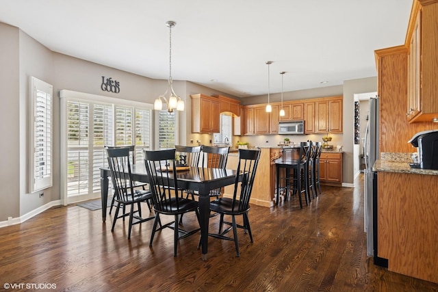 dining room featuring baseboards, a wealth of natural light, and dark wood-style flooring