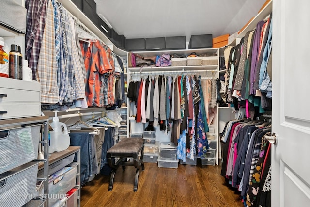 walk in closet featuring wood finished floors