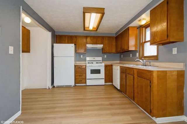1105 Eileen St, Coal City, IL 60416 - kitchen with white appliances, a sink, under cabinet range hood, light wood-style flooring, and light countertops