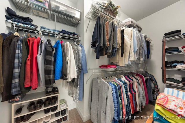2793 Nicole Cir, Aurora, IL 60502 - walk in closet featuring carpet flooring