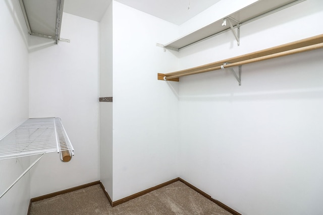 301 Memory Ln Unit 3C, Westmont, IL 60559 - spacious closet featuring carpet floors