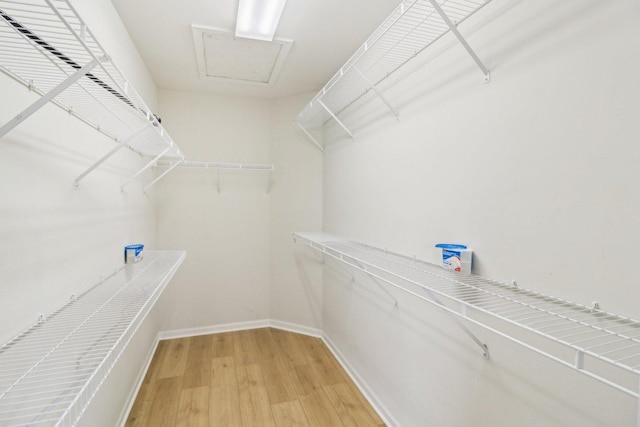 2303 Neubauer Cir, Lindenhurst, IL 60046 - walk in closet with light wood finished floors