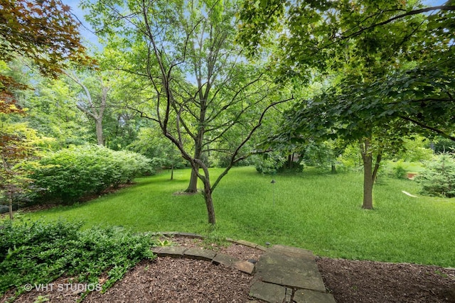 2101 Thorntree Ln, Palatine, IL 60067 - photo 15