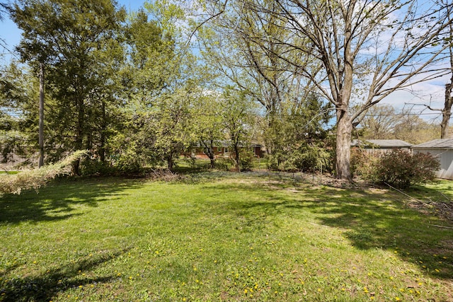 view of yard