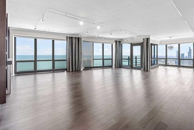 spare room with dark wood-style floors, plenty of natural light, and a water view