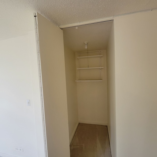 6700 S S Shore Dr Unit 2G, Chicago, IL 60649 - spacious closet with carpet floors