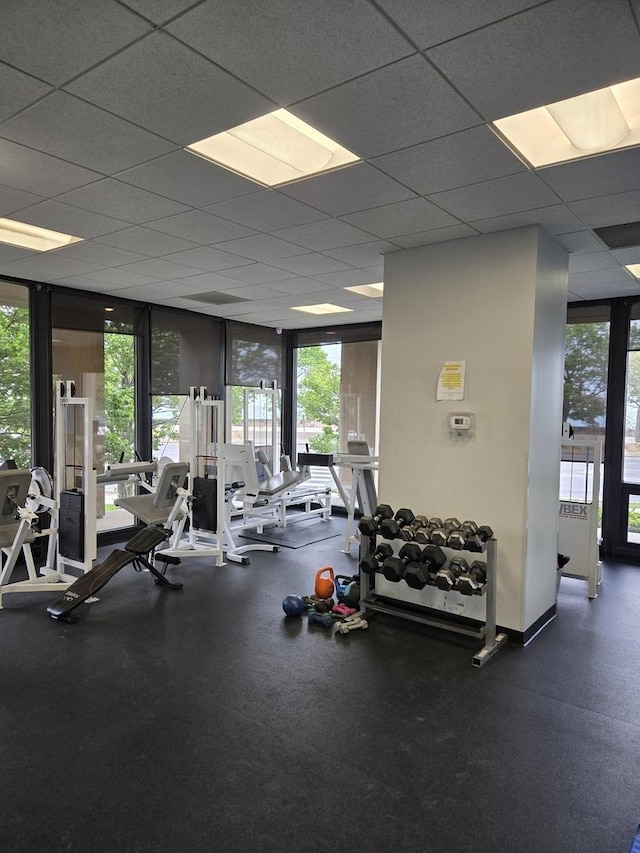 6700 S S Shore Dr Unit 2G, Chicago, IL 60649 - exercise room featuring plenty of natural light and a drop ceiling