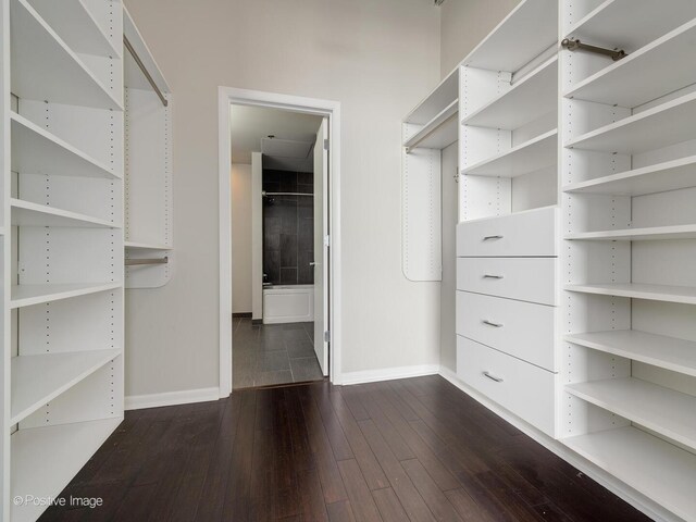walk in closet featuring dark wood finished floors