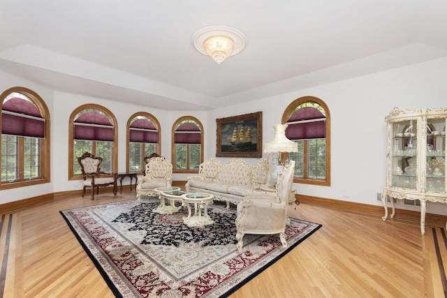 1020 Evergreen Dr, Lake Forest, IL 60045 - living room featuring baseboards, wood finished floors, and a raised ceiling
