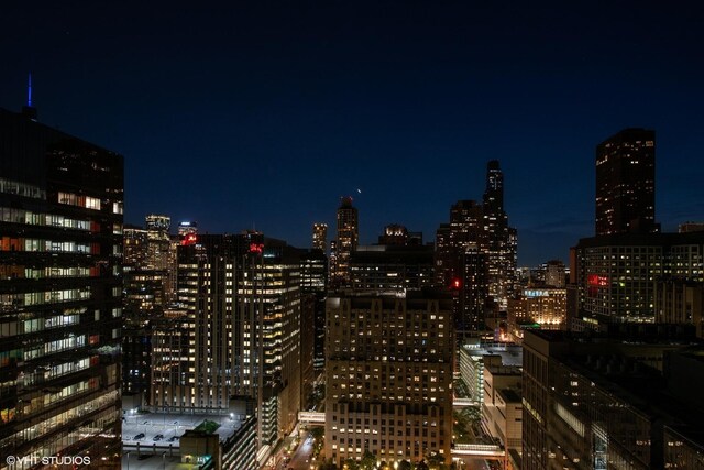 680 N Lake Shore Dr Unit 2700, Chicago, IL 60611 - city view featuring a view of city lights
