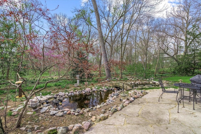 view of yard with outdoor dining area and a patio area