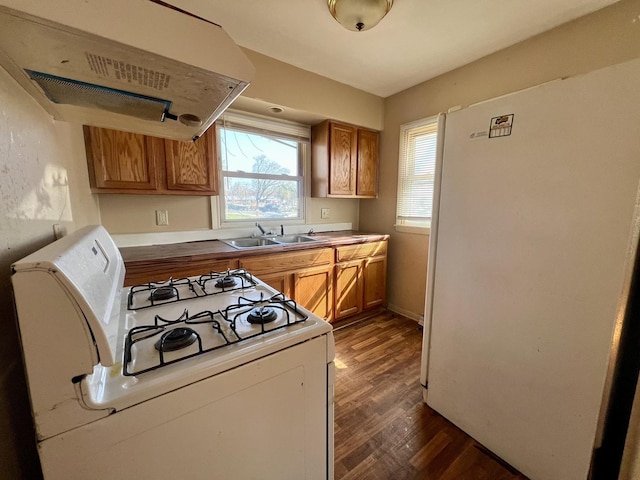 1101 N Coler Ave, Urbana, IL 61801 - kitchen featuring white appliances, a sink, ventilation hood, dark wood-type flooring, and brown cabinetry