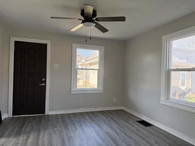 336 4th St, Lasalle, IL 61301 - entrance foyer featuring dark wood-type flooring, baseboards, and a wealth of natural light