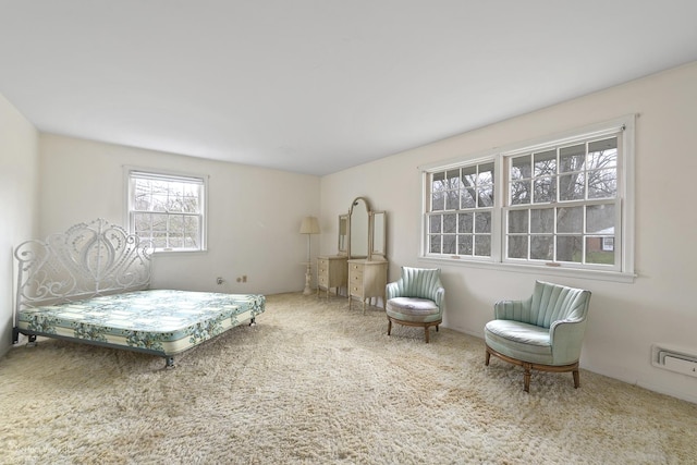 2702 Hoberg Dr, Joliet, IL 60432 - photo 30