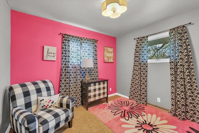 sitting room featuring carpet flooring
